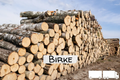 Birken-Stammholz – LKW-Ladung | 20–40 RM