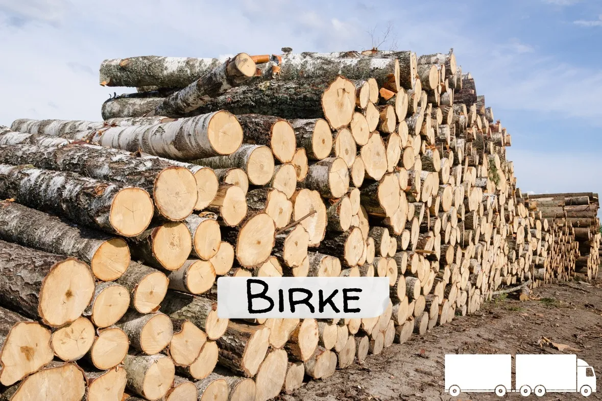 Birken-Stammholz – LKW-Ladung | 20–40 RM
