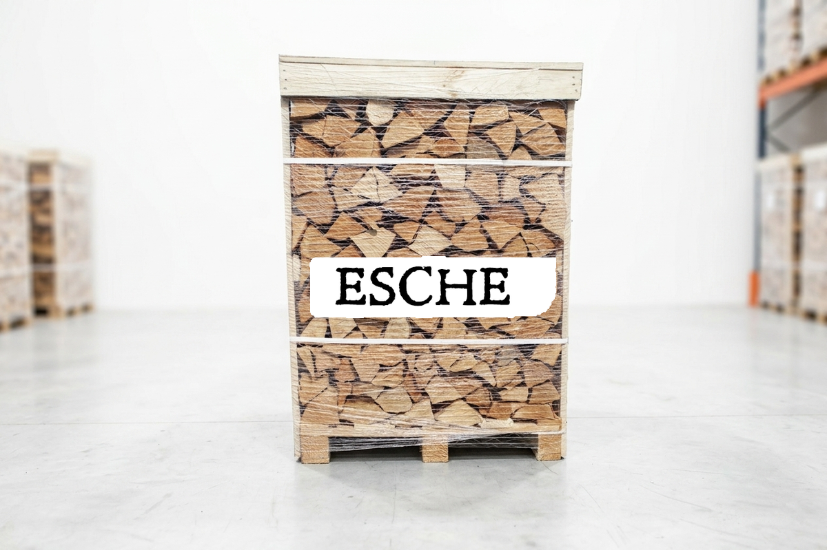 Brennholz Palette – Esche – 30/33 cm – kammergetrocknet – 1 RM