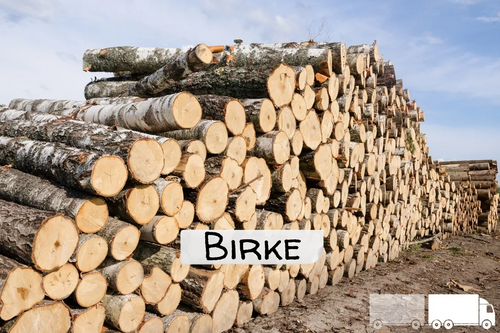 Birken-Stammholz – LKW-Ladung | 20–40 RM