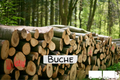 Buchen-Stammholz – LKW-Ladung | ganz oder halb