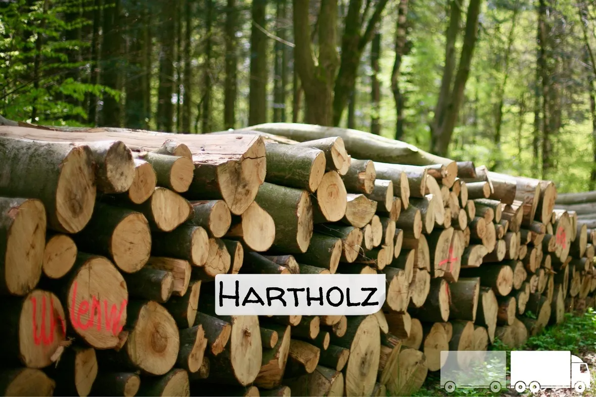 Hartholz-Stammholz – LKW-Ladung | 20–40 RM