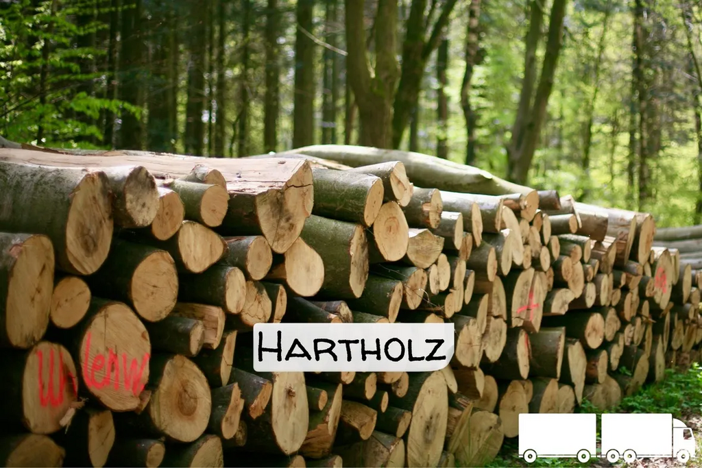 Hartholz-Stammholz – LKW-Ladung | 20–40 RM