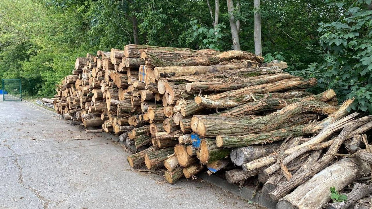 Waldkiefer-Stammholz PEFC – 3–10 m | Sägequalität