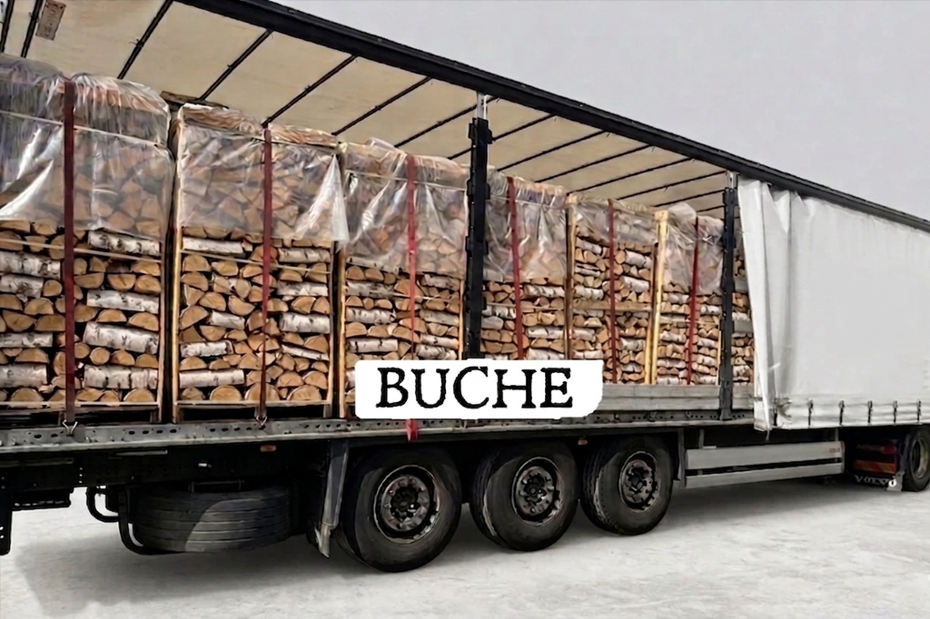 Buchen-Brennholz – kammergetrocknet | 30/33 cm | 2 RM